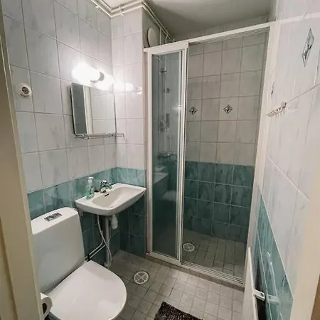 Viihtyisae Yksioe Laehellae Palveluita. *