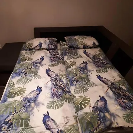 Viihtyisae Yksioe Laehellae Palveluita. Appartement